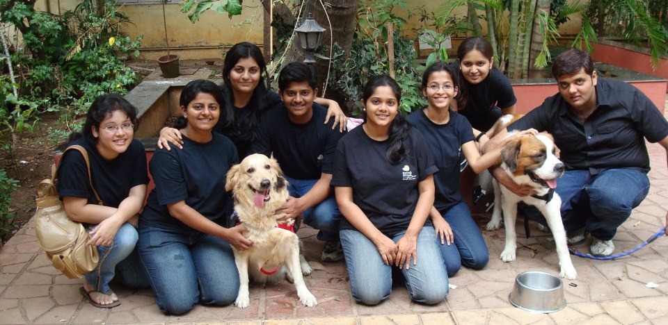 Meet The Founders - Animal Angels Foundation