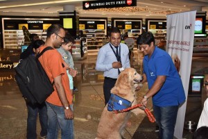 Animal Angels Comforting Angels at Mumbai International Airport!