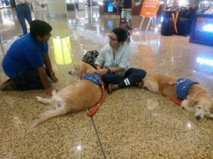 Animal Angels Comforting Angels at Mumbai International Airport!