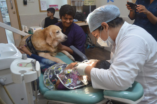 Therapy dogs assisting Dentist to reduce anxiety - Latest research by  Animal Angels Foundation - Animal Angels Foundation