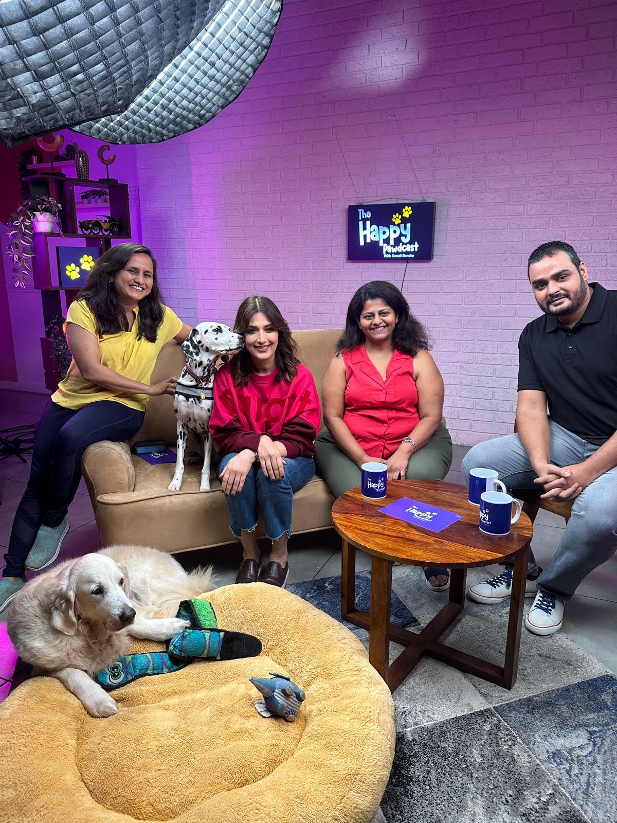 Equine Therapy Training