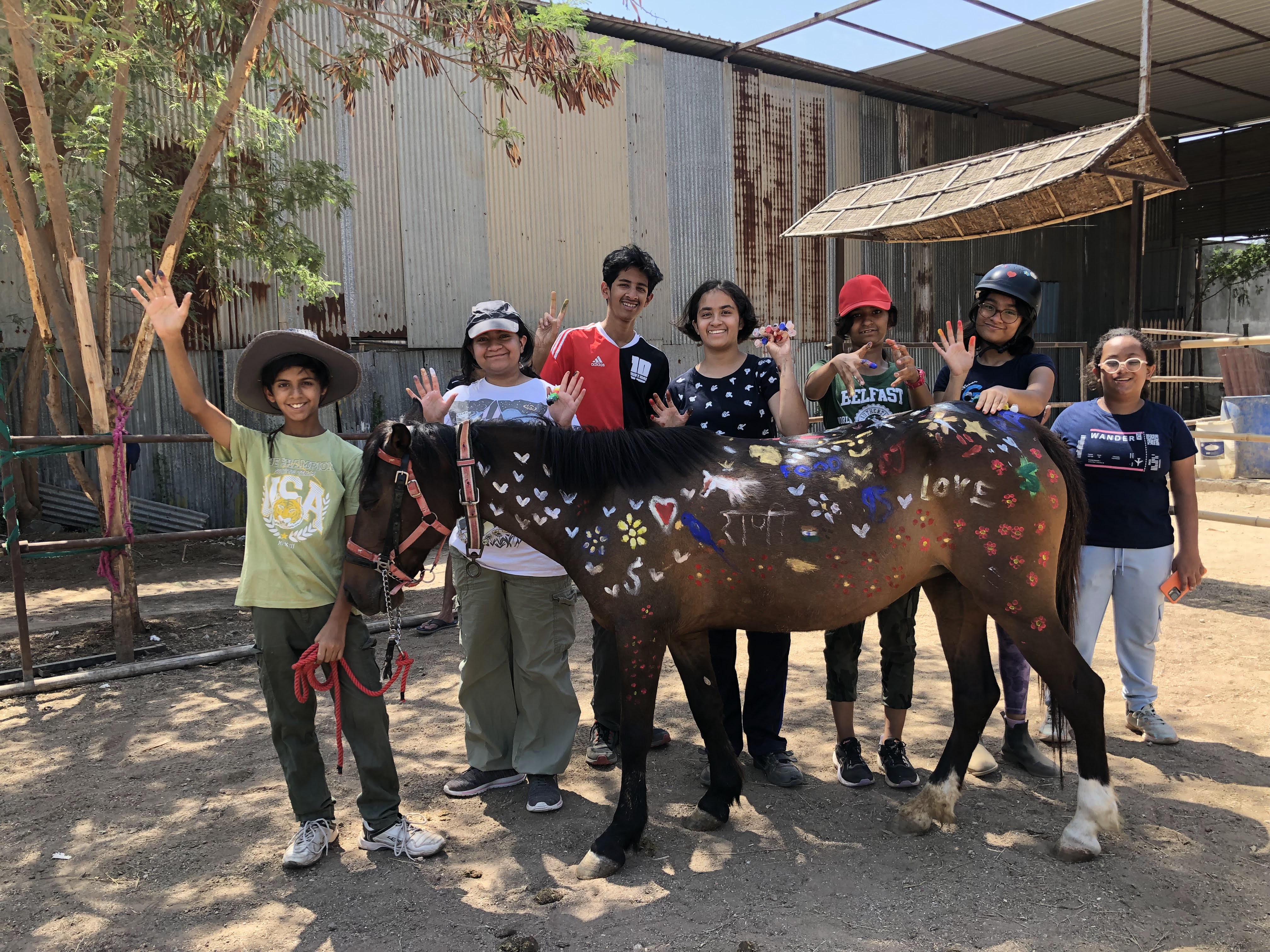 Equine Therapy Training