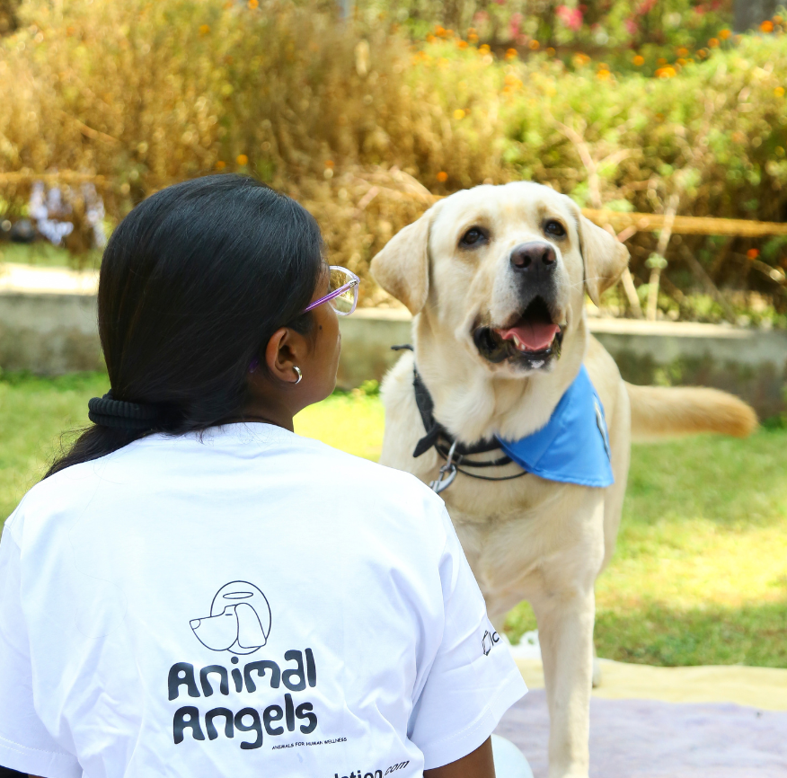 Therapy dog interaction 19