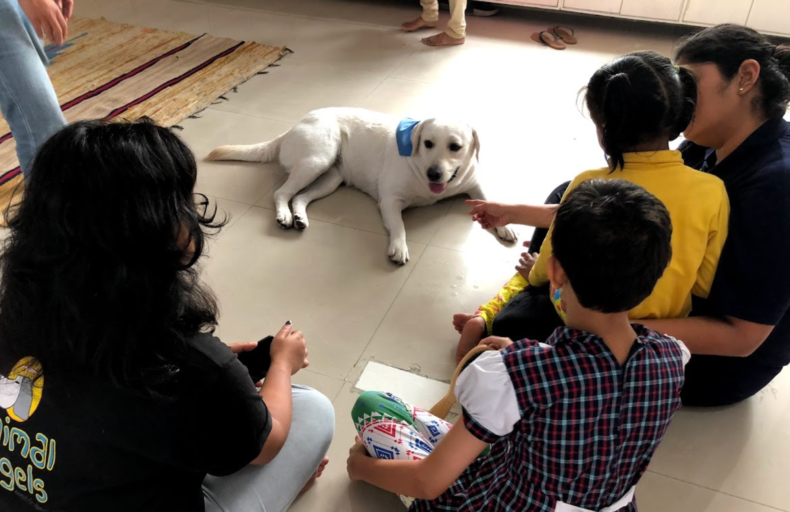 Animals and Autism